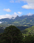 La Rosita - Catuai - Washed - Panama - Espresso - 2025