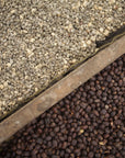 Gayo Sesongot - Winey Natural - Indonesia - Filter & Espresso - 2025