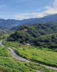 La Rosita - Catuai - Washed - Panama - Espresso - 2025