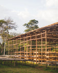 Raised coffee drying beds at Moplaco in Ethiopia.