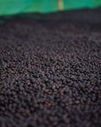 Natural anaerobic Ethiopian coffee beans drying at Rumudamo Station.