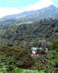 La Rosita - Catuai - Washed - Panama - Espresso - 2025