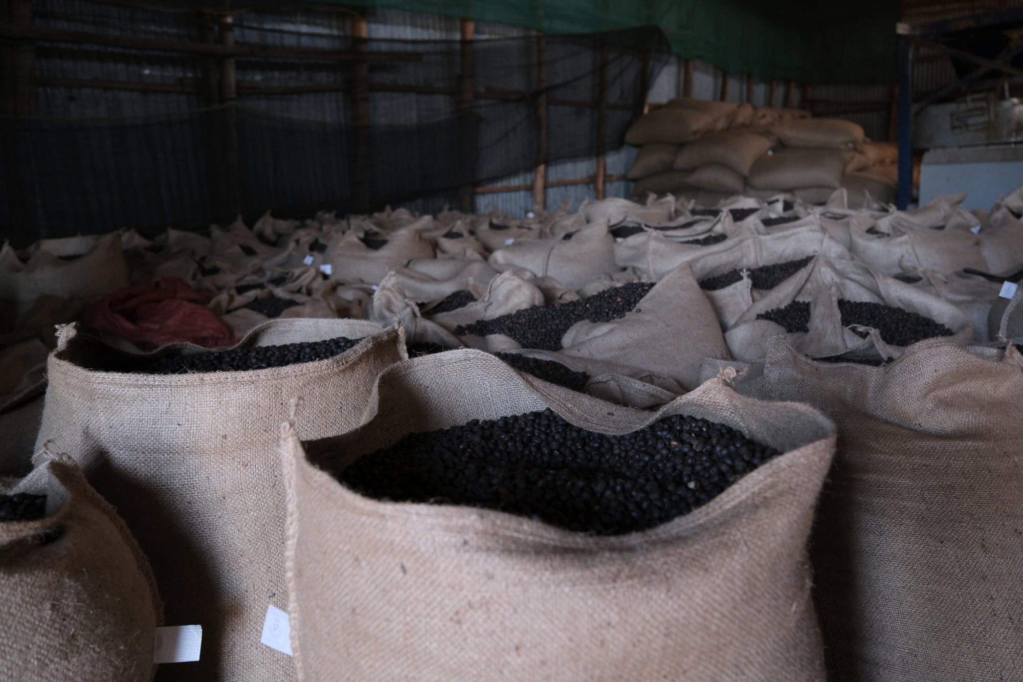 Worka - Slow Dry Natural - Ethiopia - 2025