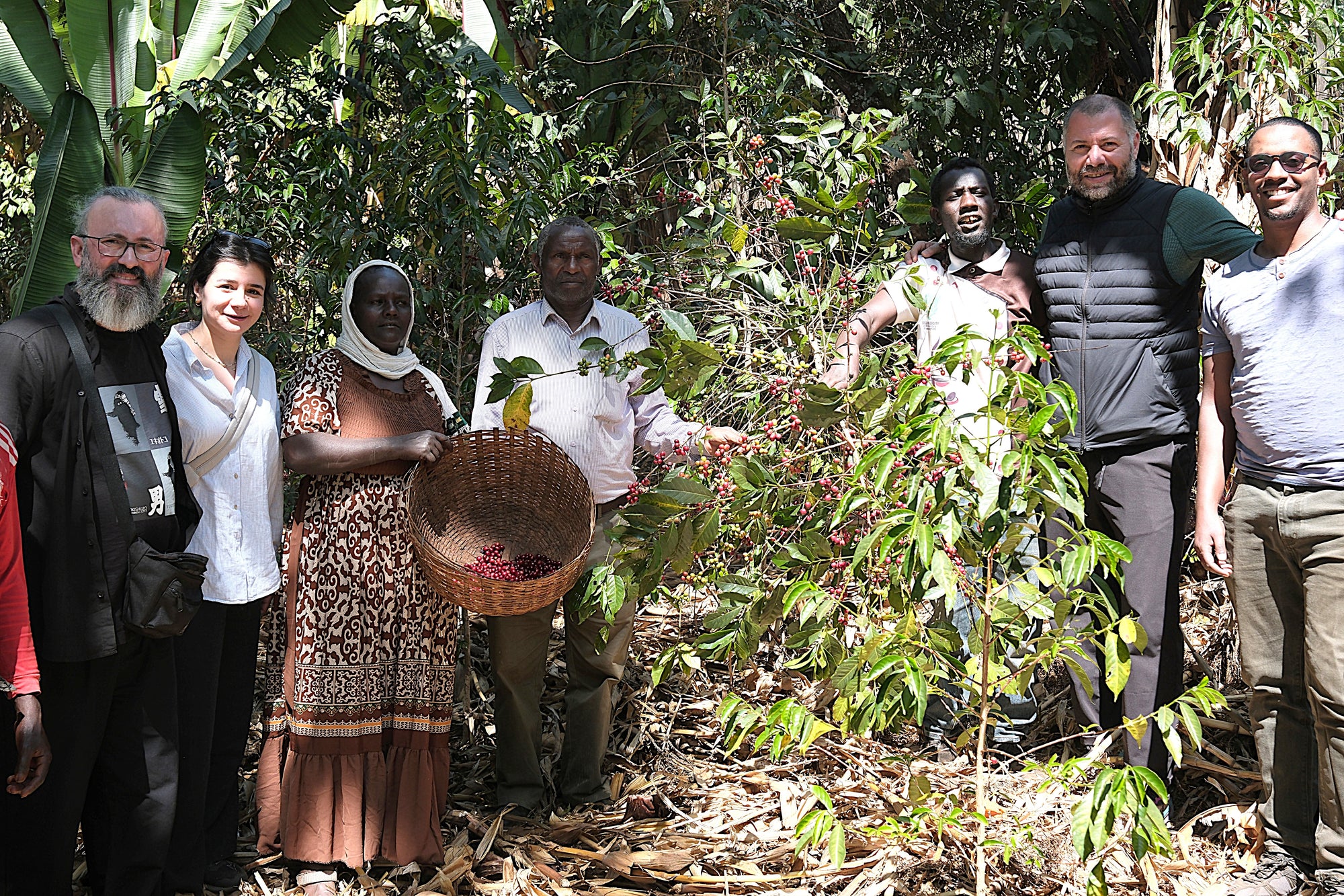 Ayele Fulasa Gesha - Natural - Ethiopia - 2025
