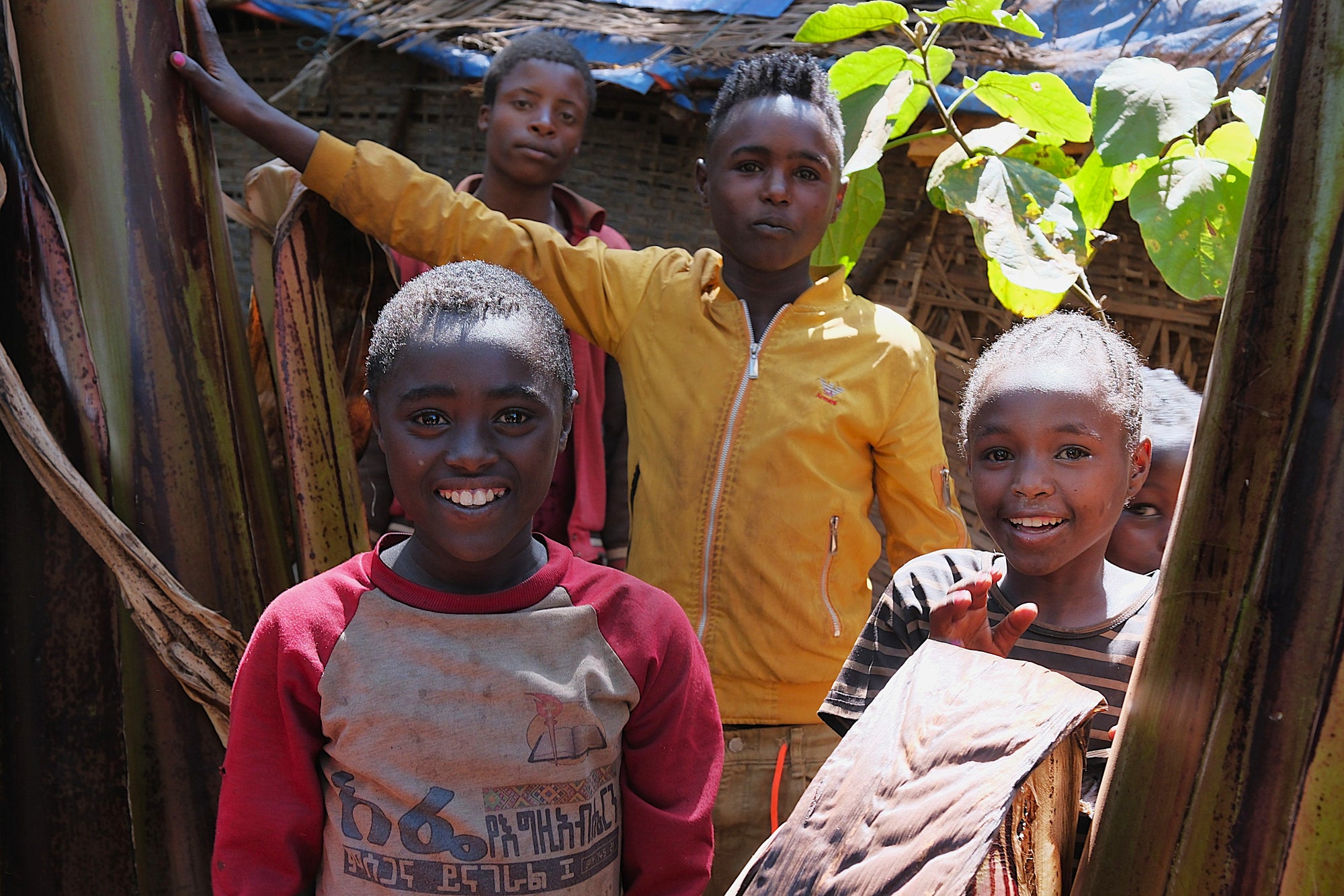 Ayele Fulasa Gesha - Natural - Ethiopia - 2025