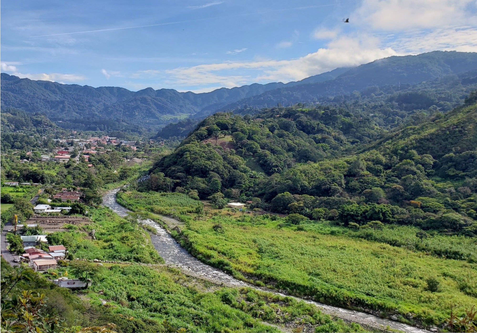 La Rosita - Catuai - Washed - Panama - Espresso - 2025