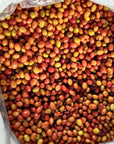 Miriam Quesada - Finca El Guayacan - Pink Bourbon - Anaerobic Natural - Colombia - 2023