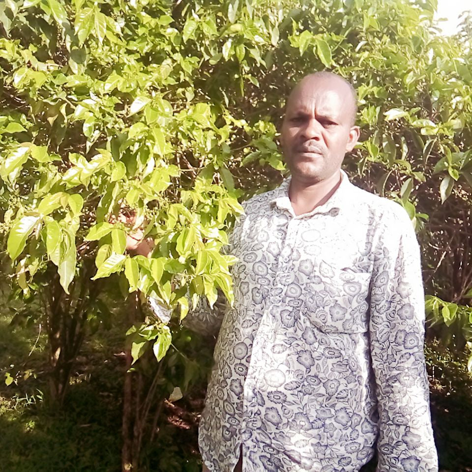 Sidamo bölgesinde kahve üreticisi Bekele Yutute, çiftliğindeki kahve ağaçlarının yanında.