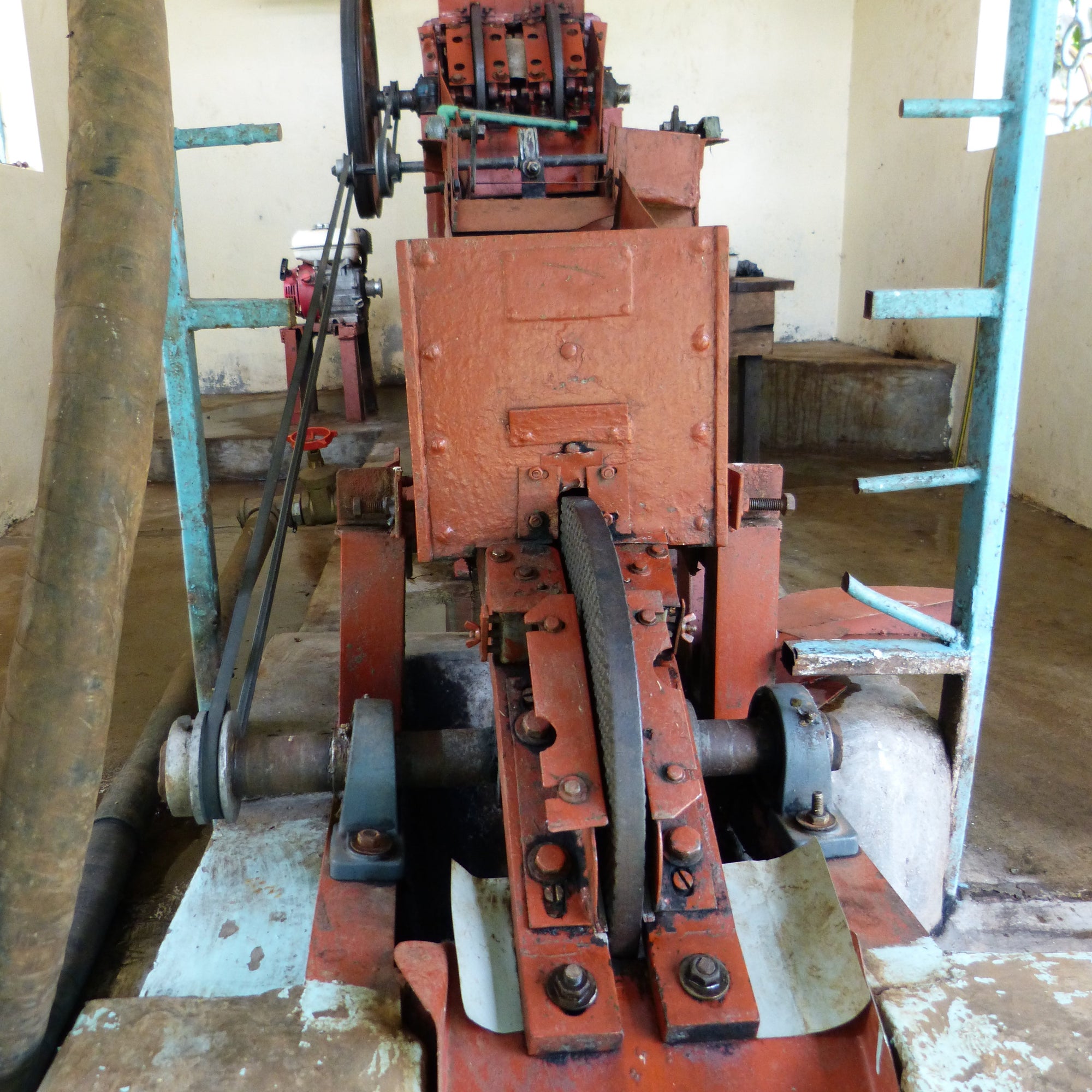 Kahve işleme istasyonunda yıkanmış proses için kullanılan mekanik pulping makinesi.