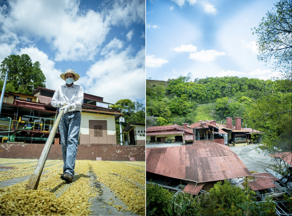 Coffee producer and farm areas at La Berlina Estate in Boquete.