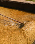 Washed coffee processing at Rumudamo Station in the Sidama region of Ethiopia.